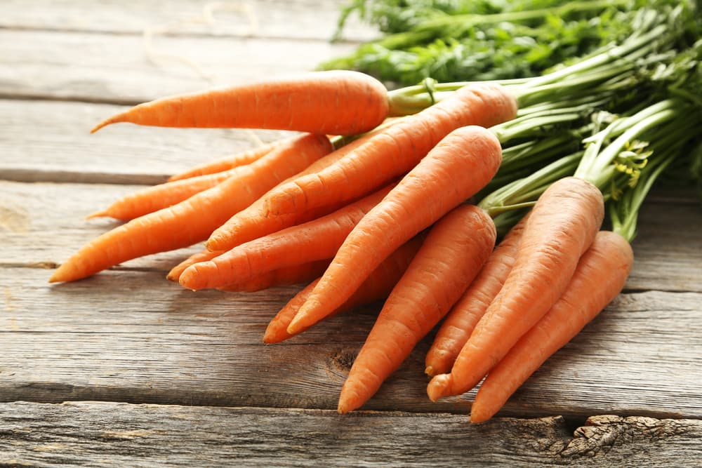 Carrot-Orange-Hybrid-Seeds