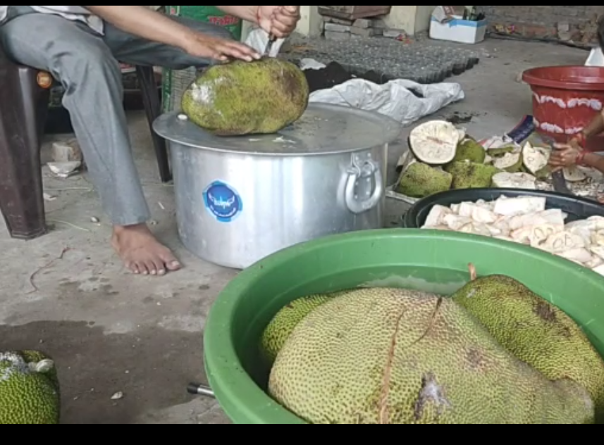 Screenshot_2024_0207_004931