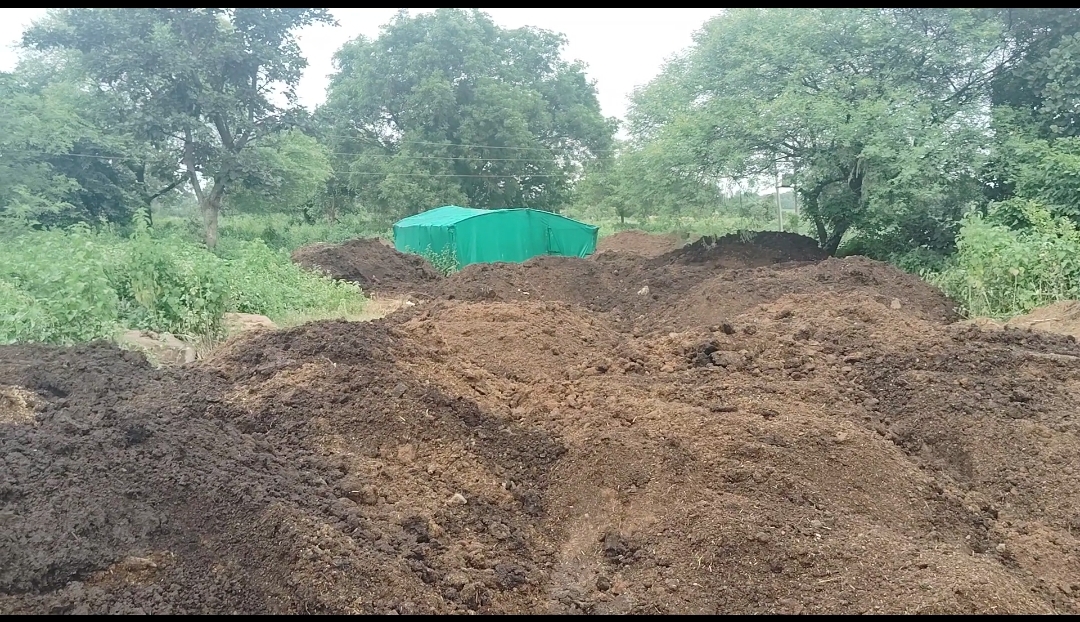 Screenshot_2025-10-03-14-00-18-257_com.google.android.apps.photos-edit