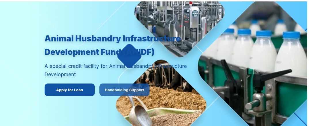 Screenshot_2025-10-24-22-13-35-885_com.android.chrome-edit